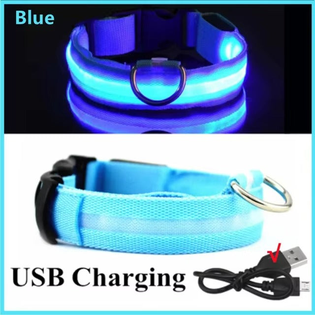 High-Visibility Safety Dog Collar