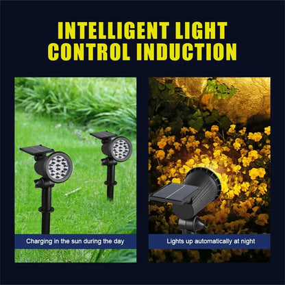 Solar Landscape Lights