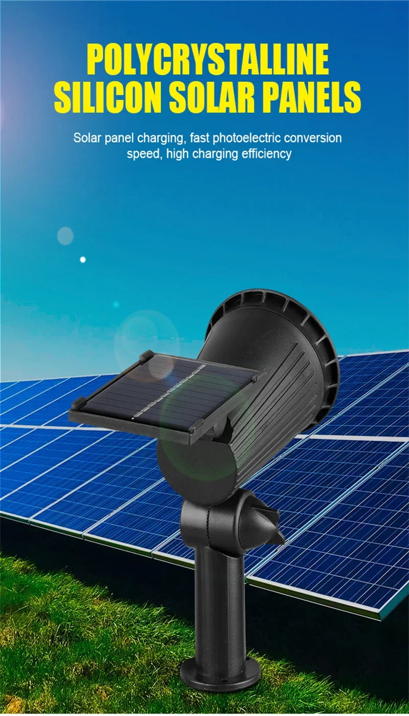 Solar Landscape Lights