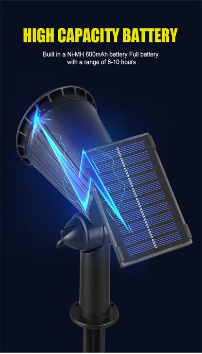 Solar Landscape Lights