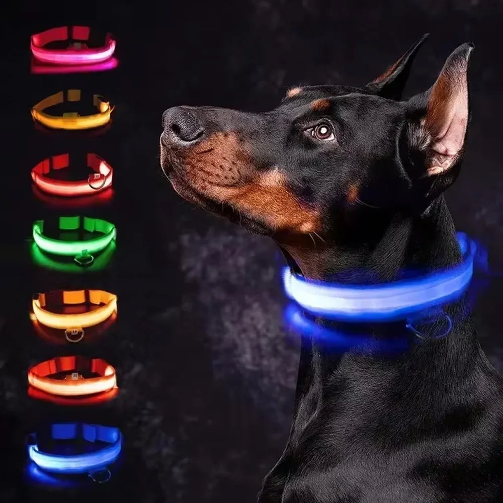 High-Visibility Safety Dog Collar
