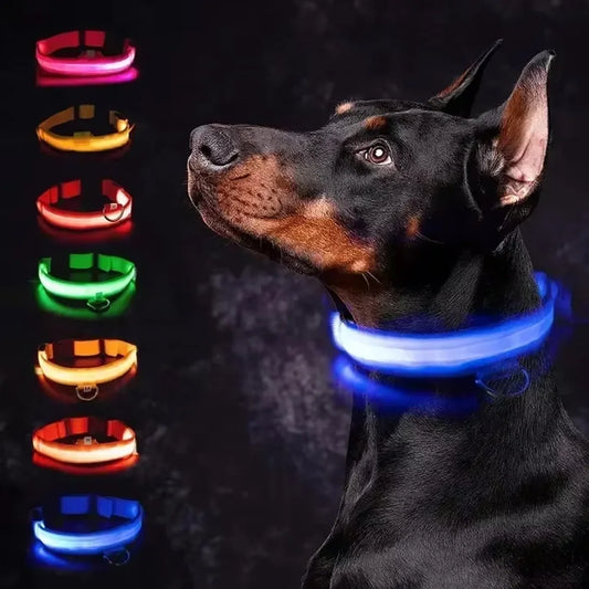 High-Visibility Safety Dog Collar
