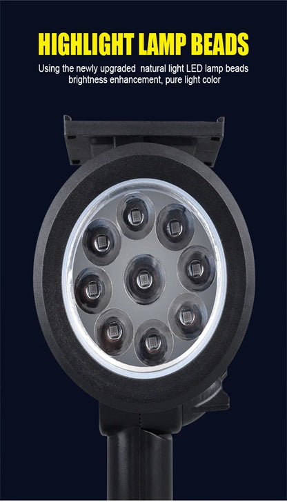Solar Landscape Lights