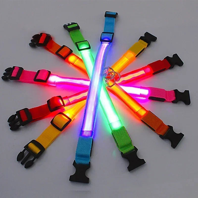 High-Visibility Safety Dog Collar