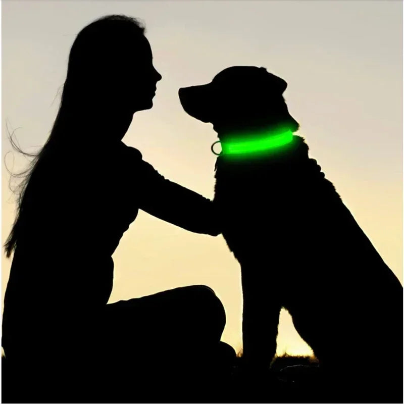 High-Visibility Safety Dog Collar