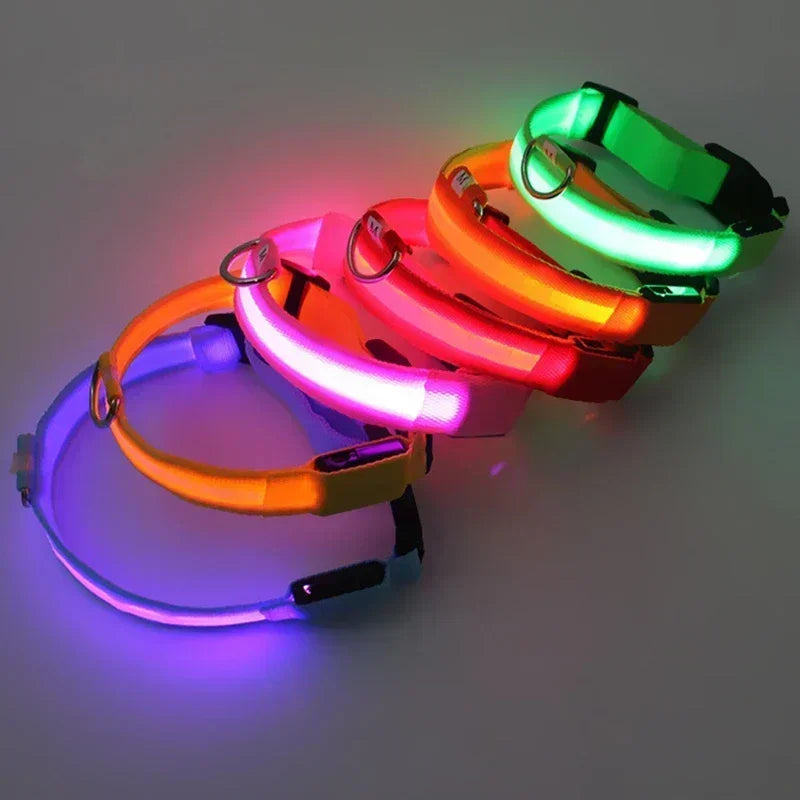 High-Visibility Safety Dog Collar