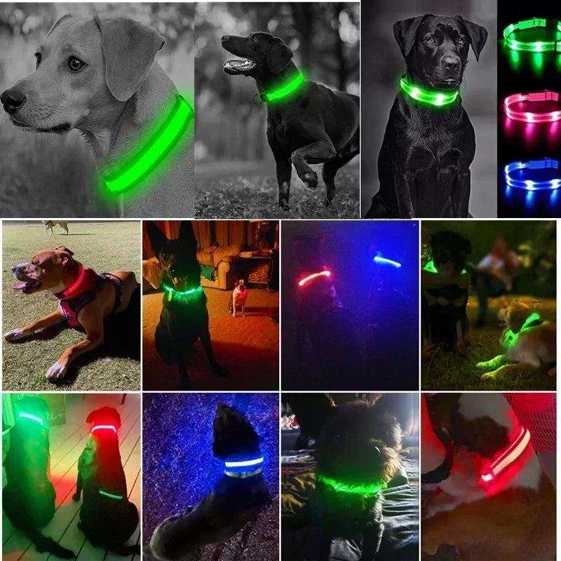 High-Visibility Safety Dog Collar