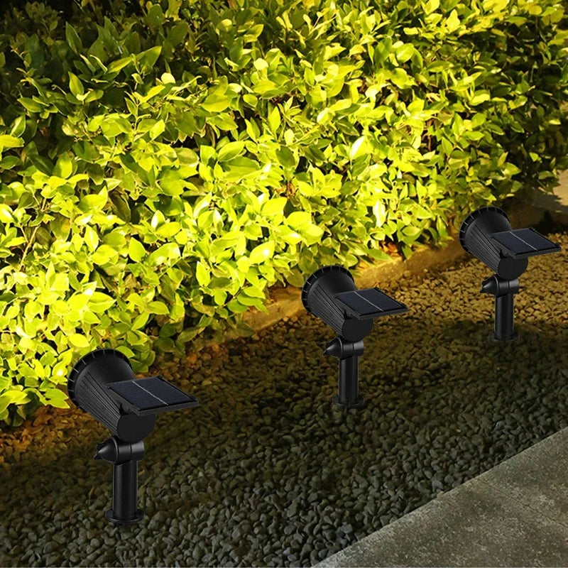 Solar Landscape Lights