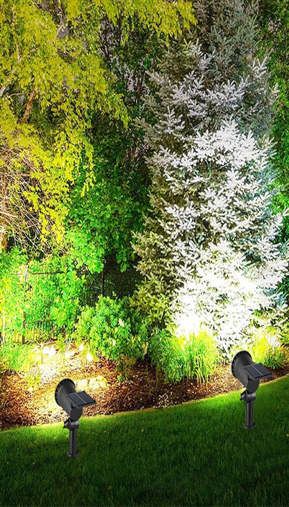 Solar Landscape Lights