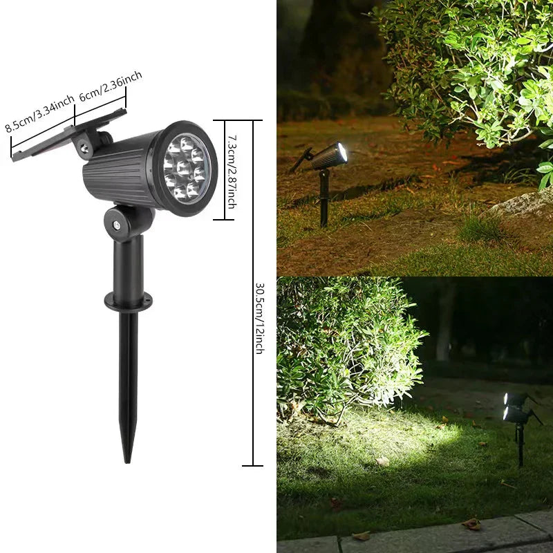 Solar Landscape Lights
