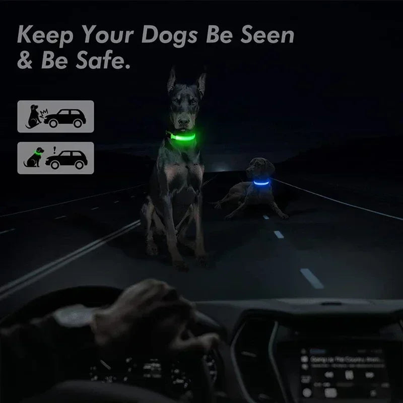 High-Visibility Safety Dog Collar