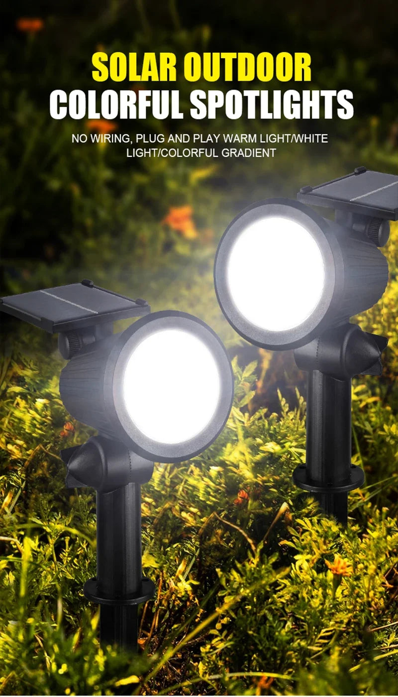 Solar Landscape Lights