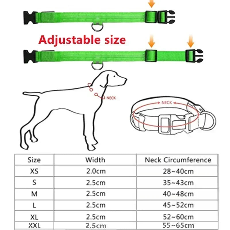 High-Visibility Safety Dog Collar