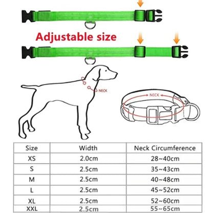 High-Visibility Safety Dog Collar