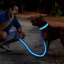 High-Visibility Safety Dog Collar