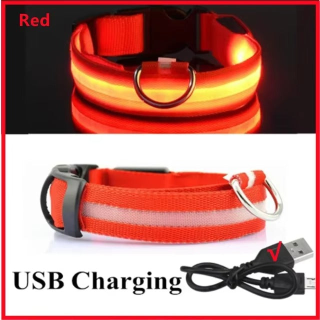 High-Visibility Safety Dog Collar