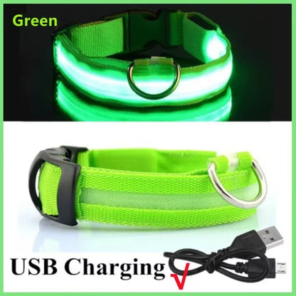 High-Visibility Safety Dog Collar