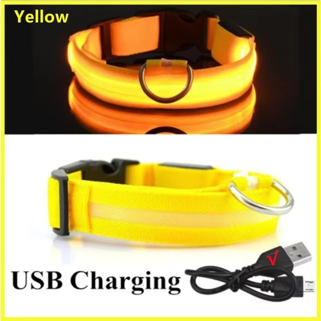 High-Visibility Safety Dog Collar