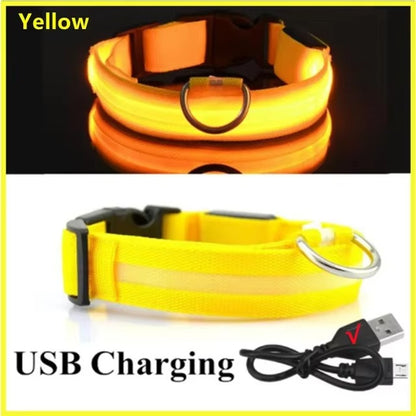 High-Visibility Safety Dog Collar