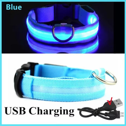 High-Visibility Safety Dog Collar