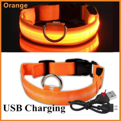 High-Visibility Safety Dog Collar