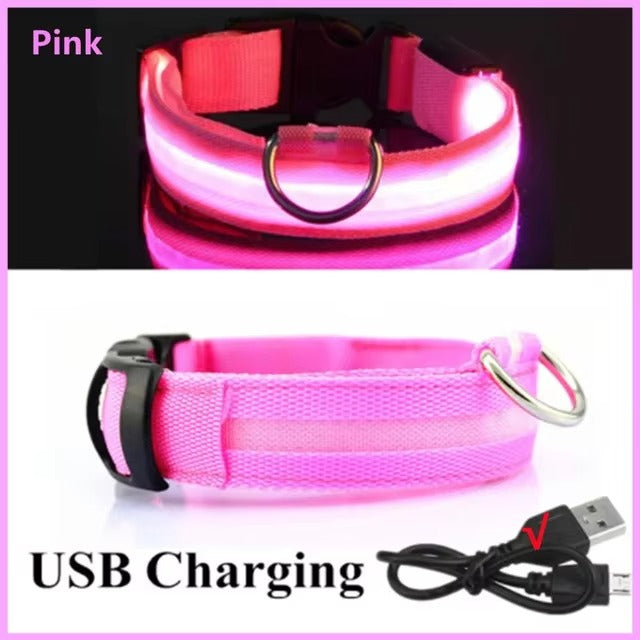 High-Visibility Safety Dog Collar