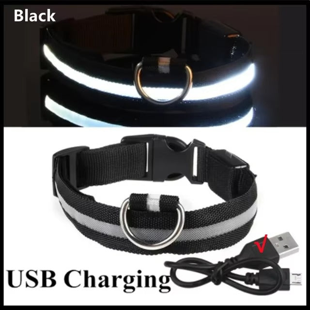 High-Visibility Safety Dog Collar